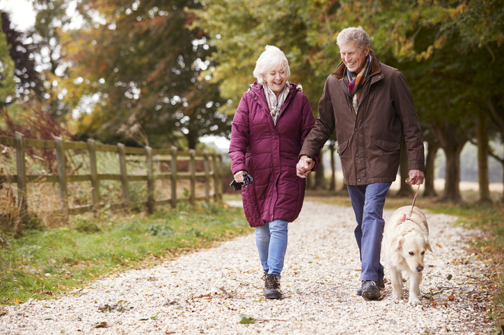 do dogs like to walk the same route