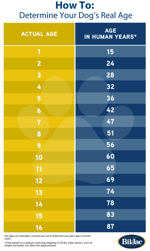 How to calculate dog years chart.