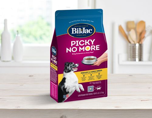 Bil jac dry outlet dog food reviews