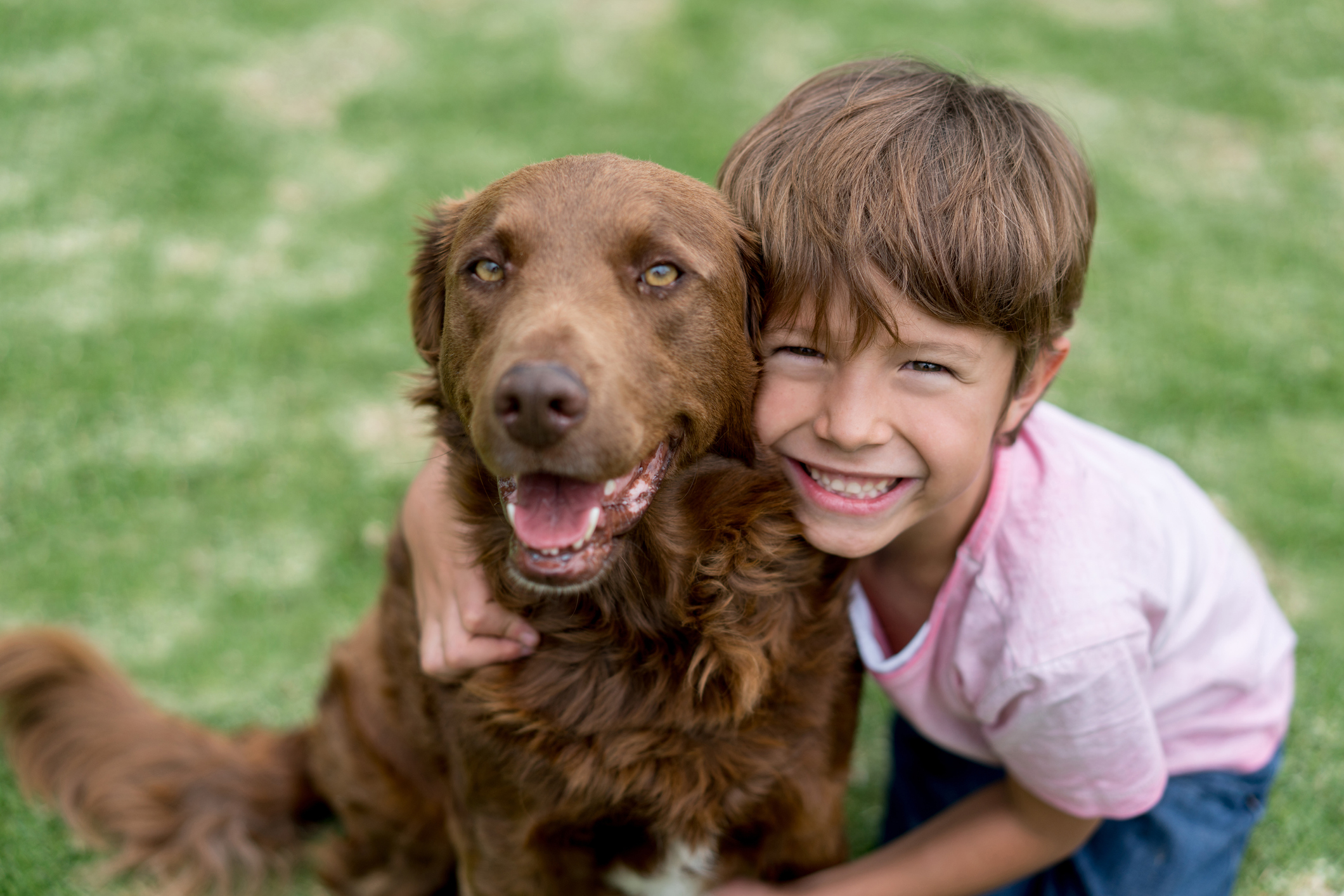 Can Dogs Taste Their Food? - The Dog Blog | Expert Advice for Pet Parents