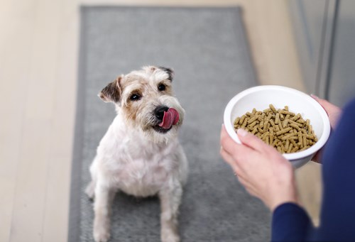 Picky No More Dry Dog Food | Bil-Jac