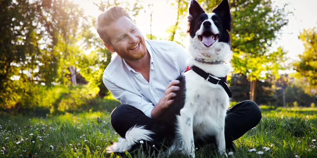 A dog dad spending time with his dog at the park on Father’s Day.